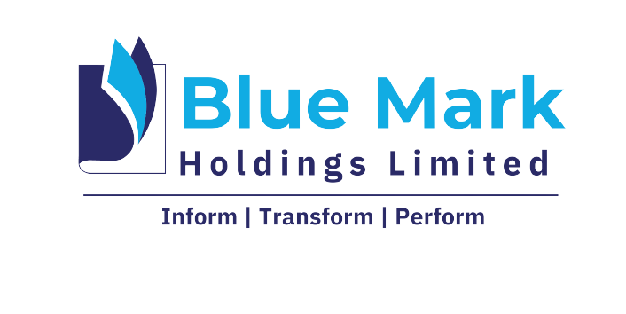bluemark holding.pdf logo